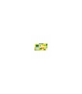 Leeford Premium Green Tea (Mint & Cardamoms Flavour) 25pcs