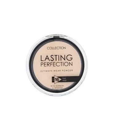 INCOLOR Compact Lasting Perfection Powder DC-631 05