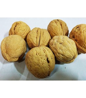 Walnut Whole