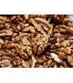 Walnuts W/S