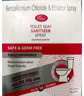 Toilet seat sanitizer