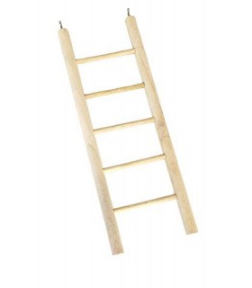 Bird toy ladder