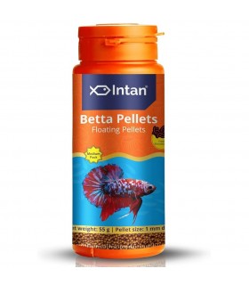 INTAN Betta Pellets